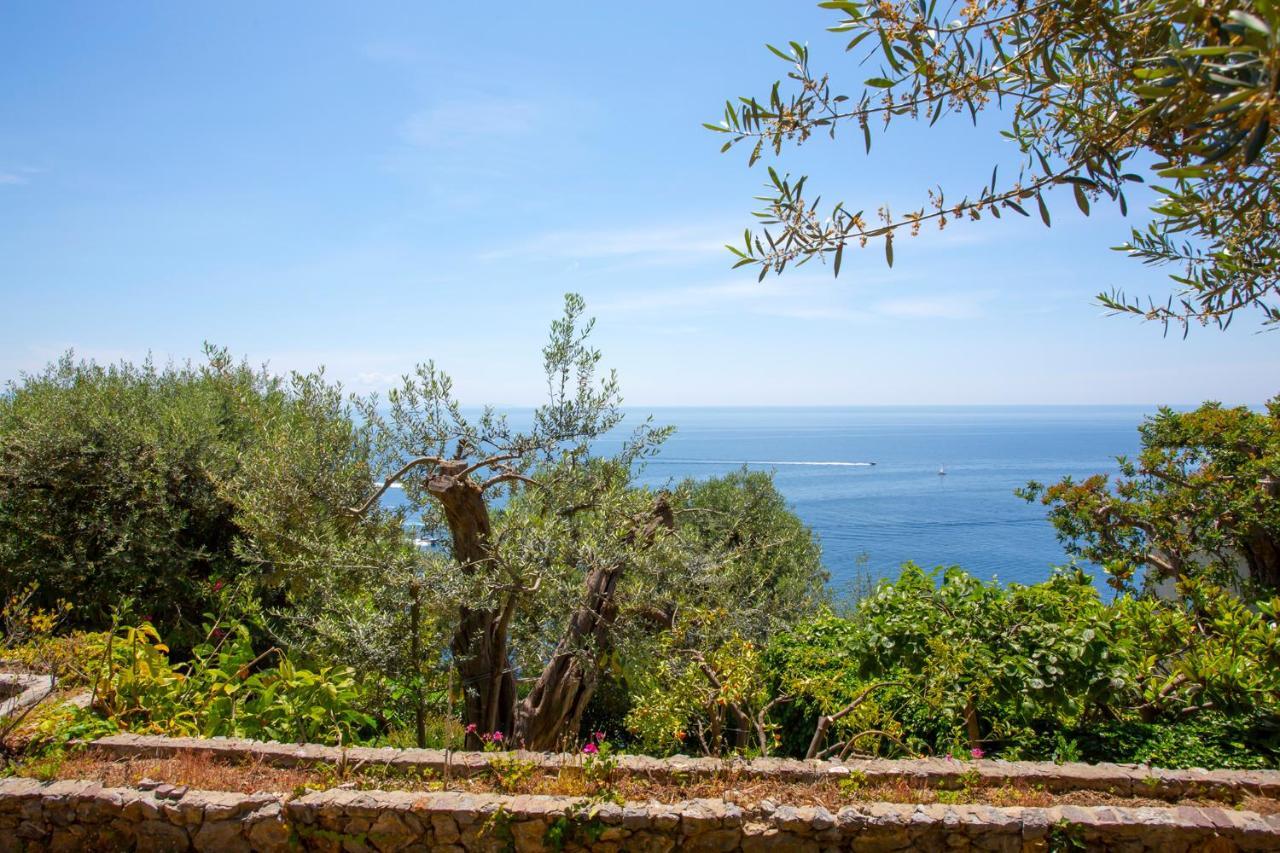 Villetta Cielo Blu Conca dei Marini Extérieur photo